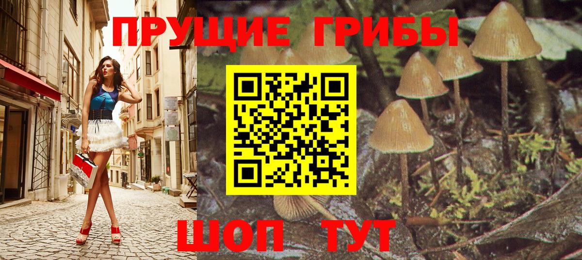 Ступино  купить закладку  Вход с VPN  Псилоцибиновые грибы мицелий  Галлюциногенные грибы GOLDEN TEACHER 